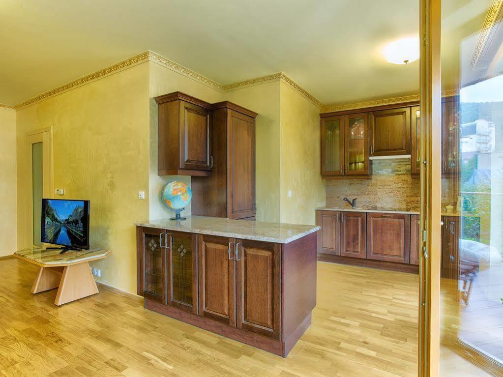 Lyra Apartments Karlovy Vary Luaran gambar